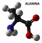 estructura 3D de la alanina