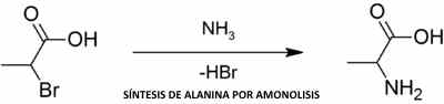 sintesis de alanina por amonolisis